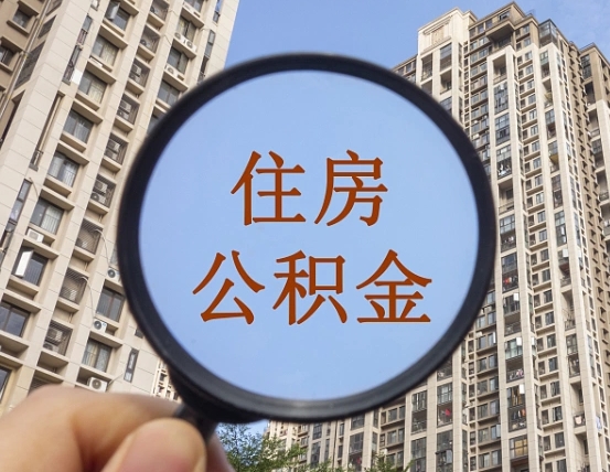 进贤退休后查不到公积金明细了吗（退休后公积金查询不到原因）